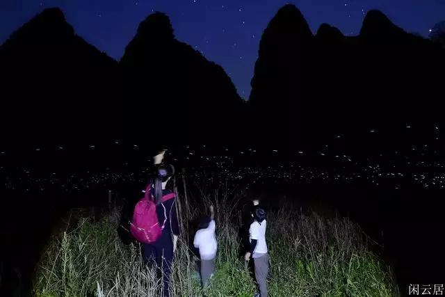 芭比的时尚新娘装