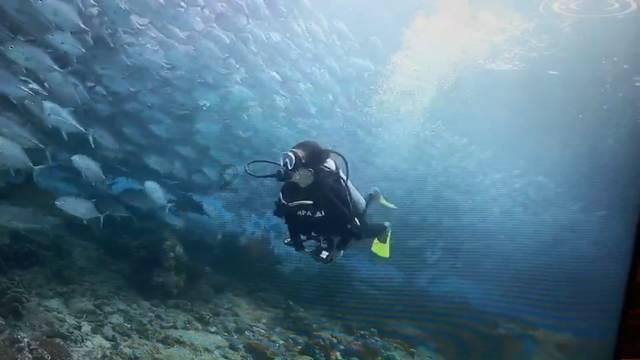 嘉年华存托凭证盘中异动 股价大跌5.01%