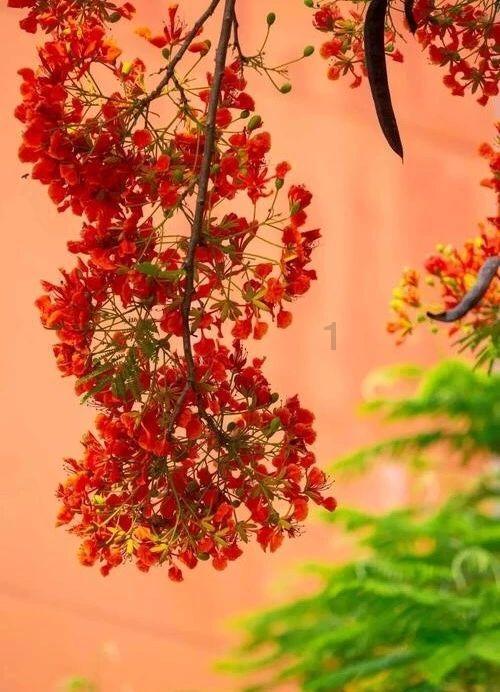 电脑右下角的时间停止了怎么办?游戏画面
