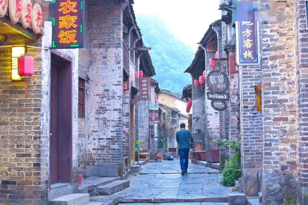 小猪仔要回家